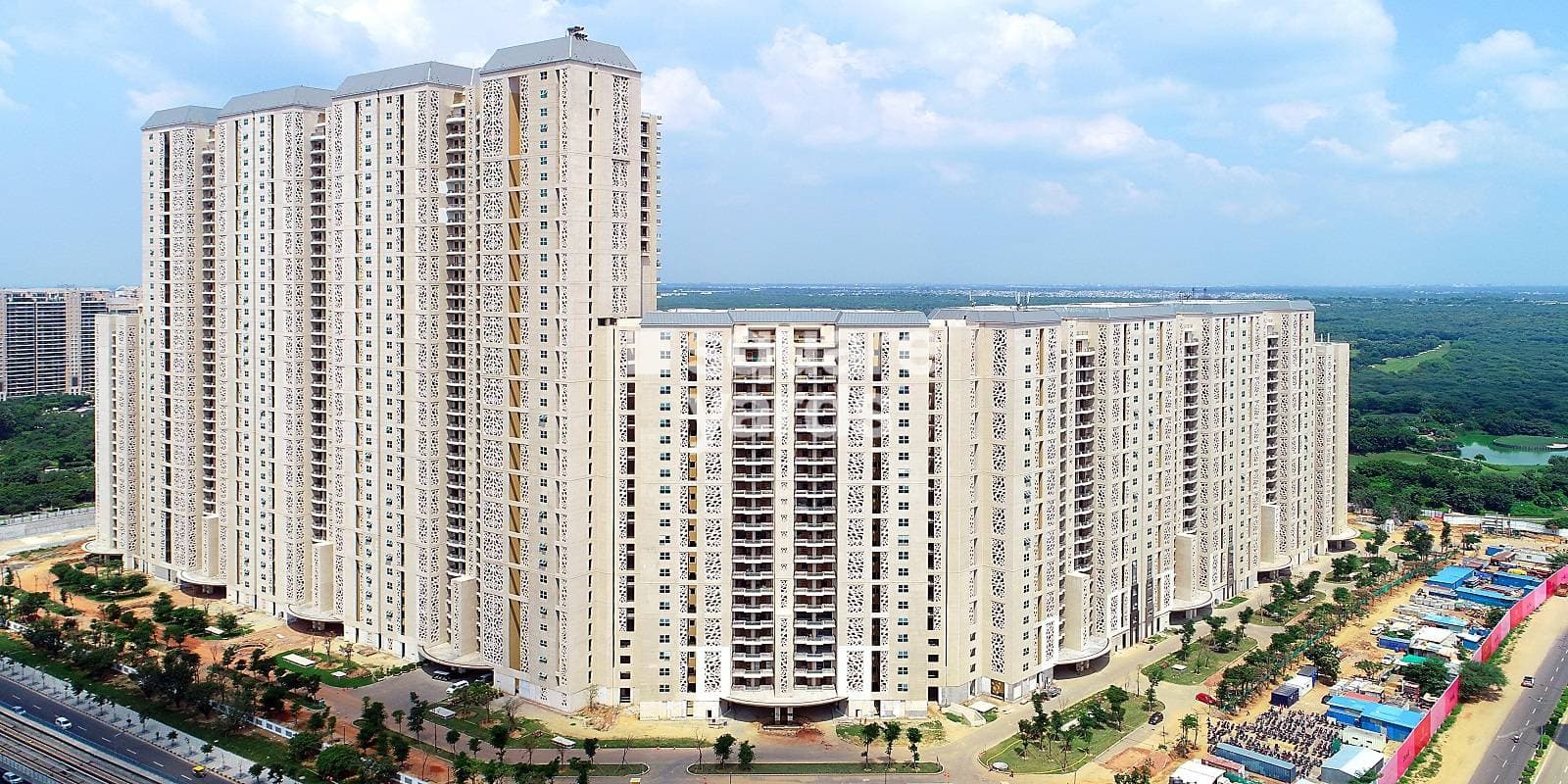 DLF The Camellias